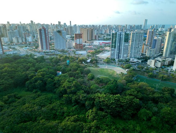 Comment Animer des Clubs de Lecture Engagés pour Adolescents en Bibliothèque : Un Guide Incontournable