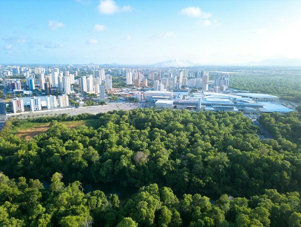 Réussir sa présentation pour évènements : conseils et tendances actuelles